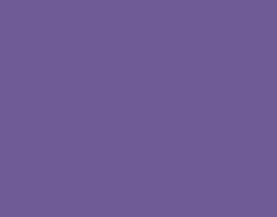 P.S.HI-5 Pale purple, 0,50*10m