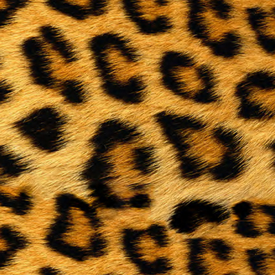 EasyPatterns Plus Wild Leopard 0,3*10m